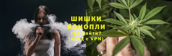твердый Арсеньев