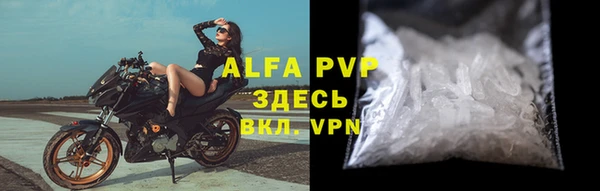 твердый Арсеньев