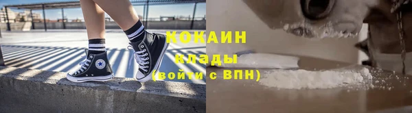 стаф Аркадак