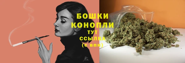стаф Аркадак