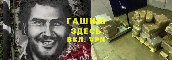 стаф Аркадак